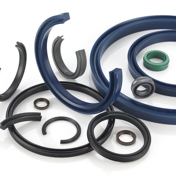 IMG 20260202 104108 774 600x600